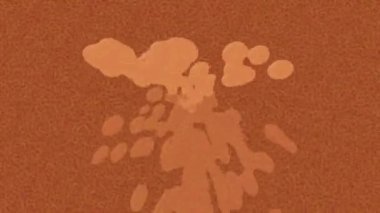 Estetik doku arkaplan tasarımı renkli hareket grafikleri ile moda film giriş profosyoneli