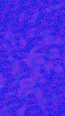 Profesyonel video projeleri sanat tarzı için organik hareketli arkaplan tasarımı