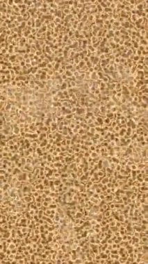 Lüks hareket tasarımı üst düzey video projeleri ve dijital sanat için zarif, pürüzsüz bir dokusu var.