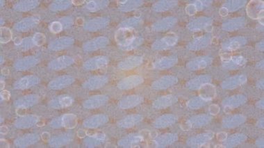 Benzersiz hareket dokusu tasarım sanatı ile profesyonel video düzenleme için modern soyut grafikler