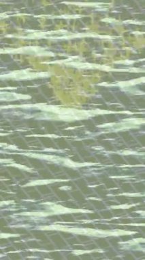 Dijital doku yüzey tasarım biçimi ile modern video animasyonu için gelişmiş hareket grafikleri