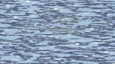 Benzersiz dijital animasyon tarzı grafikleri olan yaratıcı ortam tasarımı için yenilikçi hareket dokusu