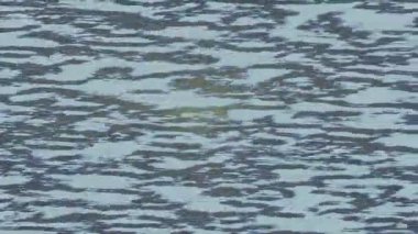 Modern medya üretimi için fütüristik dijital soyut doku sinematik tarz hareketli grafik ögesi