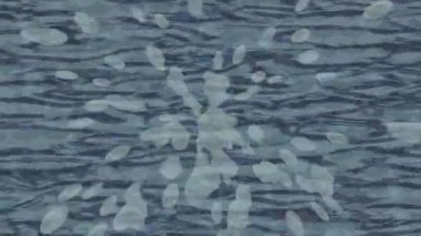 Estetik doku arkaplan tasarımı renkli hareket grafikleri ile moda film giriş profosyoneli