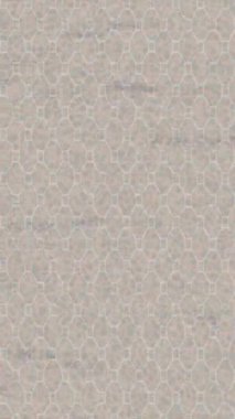 Estetik doku arkaplan tasarımı renkli hareket grafikleri ile moda film giriş profosyoneli