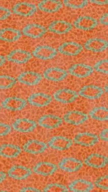 Benzersiz video giriş tasarımı projeleri için detaylı yüzey kalıbı film animasyon stili grafik girişi