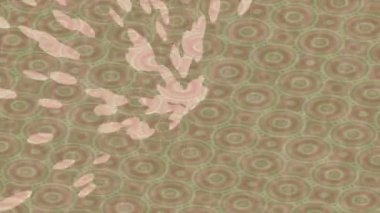 Dijital doku yüzey tasarım biçimi ile modern video animasyonu için gelişmiş hareket grafikleri