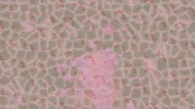 Estetik doku arkaplan tasarımı renkli hareket grafikleri ile moda film giriş profosyoneli