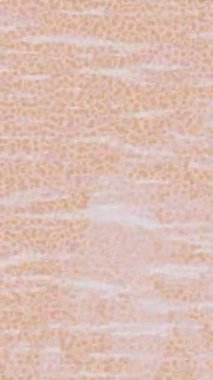 Dijital doku yüzey tasarım biçimi ile modern video animasyonu için gelişmiş hareket grafikleri