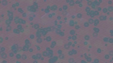 Lüks hareket tasarımı üst düzey video projeleri ve dijital sanat için zarif, pürüzsüz bir dokusu var.