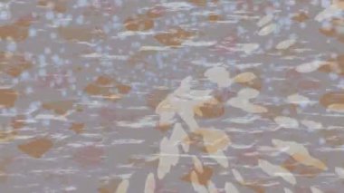 Organik desenli yüzey giriş stili video film sanatı ile soyut arkaplan tasarımı