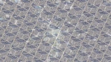 Yaratıcı video düzenleme film arkaplan tasarımı için minimalist organik hareket grafikleri