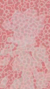 Benzersiz dijital hareket grafiklerine sahip yaratıcı sinematik projeler için yumuşak animasyon yüzeyi