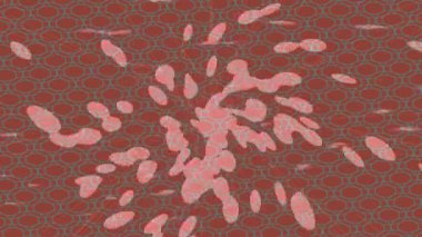 Yaratıcı video düzenleme film tasarımı için benzersiz hareket grafikleri biçimi giriş hareketi video pro