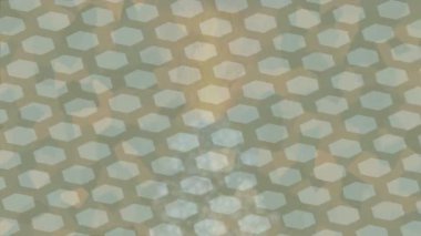 Dijital doku yüzey tasarım biçimi ile modern video animasyonu için gelişmiş hareket grafikleri