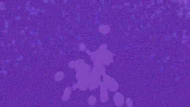 Benzersiz dijital animasyon tarzı grafikleri olan yaratıcı ortam tasarımı için yenilikçi hareket dokusu