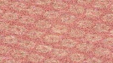 Estetik doku arkaplan tasarımı renkli hareket grafikleri ile moda film giriş profosyoneli