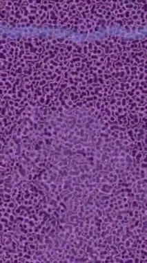 Lüks hareket projeleri için soyut tasarım stili animasyonu olan üst düzey dijital doku