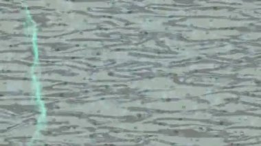 Benzersiz dijital hareket grafiklerine sahip yaratıcı sinematik projeler için yumuşak animasyon yüzeyi