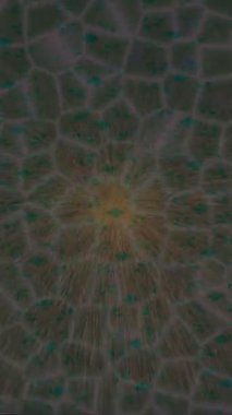 Benzersiz dijital hareket grafiklerine sahip yaratıcı sinematik projeler için yumuşak animasyon yüzeyi