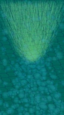 Lüks hareket tasarımı üst düzey video projeleri ve dijital sanat için zarif, pürüzsüz bir dokusu var.