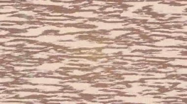 Benzersiz dijital hareket grafiklerine sahip yaratıcı sinematik projeler için yumuşak animasyon yüzeyi