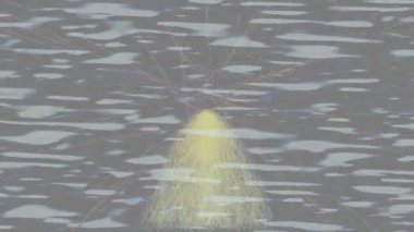 Yaratıcı video düzenleme film tasarımı için benzersiz hareket grafikleri biçimi giriş hareketi video pro