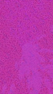 Profesyonel video projeleri sanat tarzı için organik hareketli arkaplan tasarımı