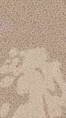 Estetik doku arkaplan tasarımı renkli hareket grafikleri ile moda film giriş profosyoneli