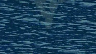 Benzersiz hareket grafikleri tasarım sanatına sahip yaratıcı film üretimi için özet bir arkaplan