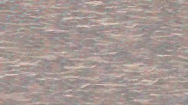 Benzersiz dijital hareket grafiklerine sahip yaratıcı sinematik projeler için yumuşak animasyon yüzeyi