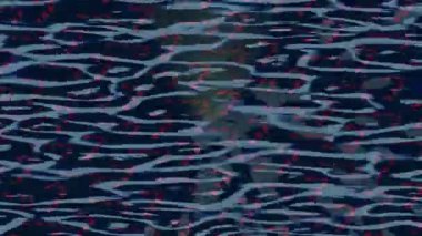 Benzersiz dijital hareket grafiklerine sahip yaratıcı sinematik projeler için yumuşak animasyon yüzeyi