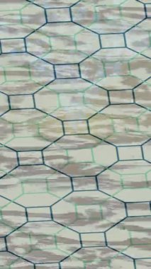 Profesyonel video projeleri sanat tarzı için organik hareketli arkaplan tasarımı