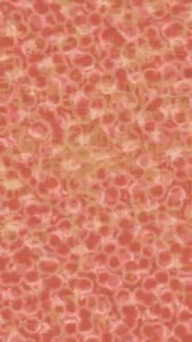 Benzersiz hareket grafikleri tasarım sanatına sahip yaratıcı film üretimi için özet bir arkaplan