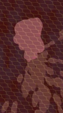 Benzersiz dijital hareket grafiklerine sahip yaratıcı sinematik projeler için yumuşak animasyon yüzeyi