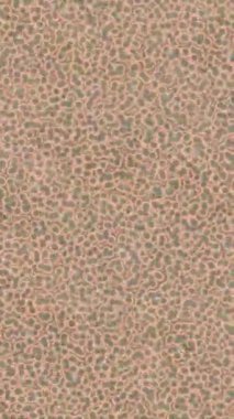 Benzersiz dijital animasyon tarzı grafikleri olan yaratıcı ortam tasarımı için yenilikçi hareket dokusu