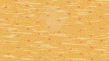 Modern medya üretimi için fütüristik dijital soyut doku sinematik tarz hareketli grafik ögesi