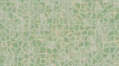 Yaratıcı video düzenleme film arkaplan tasarımı için minimalist organik hareket grafikleri