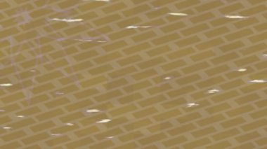 Benzersiz dijital hareket grafiklerine sahip yaratıcı sinematik projeler için yumuşak animasyon yüzeyi