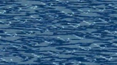 Yaratıcı video düzenleme film tasarımı için benzersiz hareket grafikleri biçimi giriş hareketi video pro