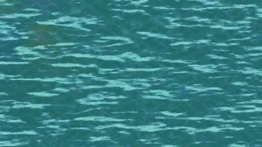 Benzersiz hareket dokusu tasarım sanatı ile profesyonel video düzenleme için modern soyut grafikler