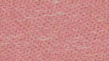 Soyut hareket desenli fütüristik video üretimi için dinamik dijital arkaplan