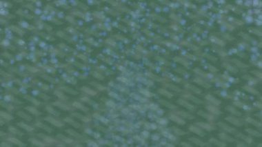 Benzersiz dijital animasyon tarzı grafikleri olan yaratıcı ortam tasarımı için yenilikçi hareket dokusu