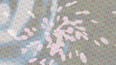 Organik desenli yüzey giriş stili video film sanatı ile soyut arkaplan tasarımı