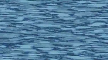 Benzersiz video giriş tasarımı projeleri için detaylı yüzey kalıbı film animasyon stili grafik girişi