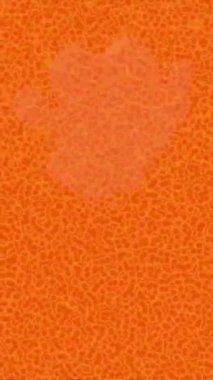 Yaratıcı video düzenleme film arkaplan tasarımı için minimalist organik hareket grafikleri