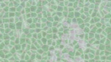 Lüks hareket tasarımı üst düzey video projeleri ve dijital sanat için zarif, pürüzsüz bir dokusu var.