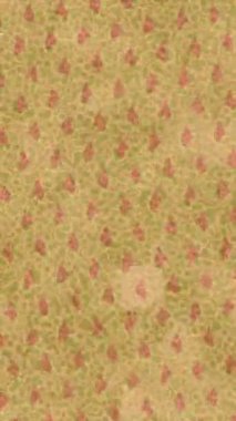 Lüks hareket projeleri için soyut tasarım stili animasyonu olan üst düzey dijital doku