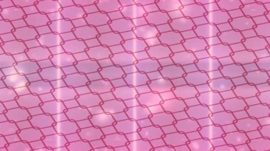 Benzersiz hareket dokusu tasarım sanatı ile profesyonel video düzenleme için modern soyut grafikler