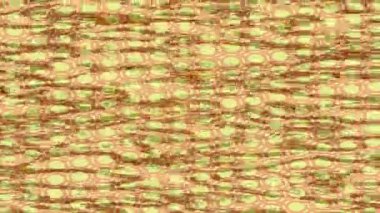 Lüks hareket projeleri için soyut tasarım stili animasyonu olan üst düzey dijital doku